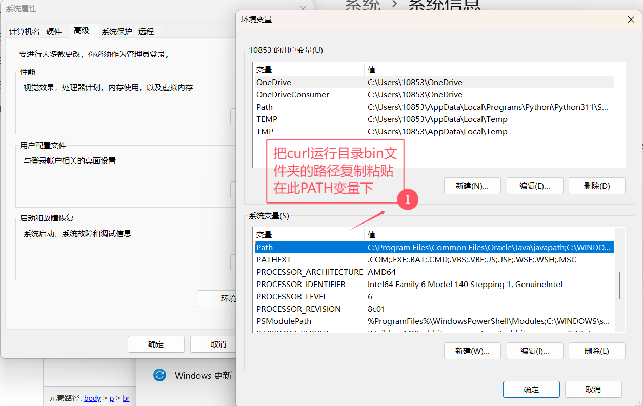 curl不是内部或外部命令，也不是可运行的程序或批处理文件